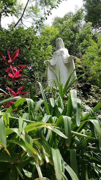 Photos of Camp Lomas Pinar