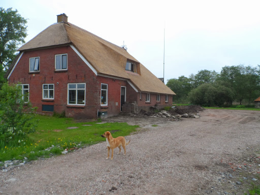Natuurkampeerterrein De Reidplûm - Thumbnail