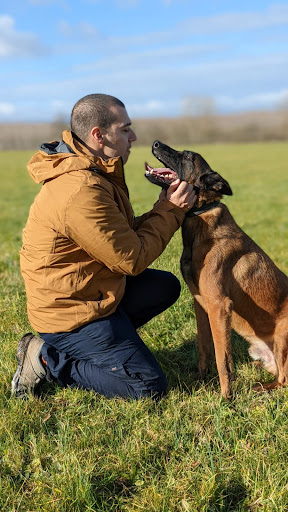 Cohérence canine - Educateur Canin - Thumbnail