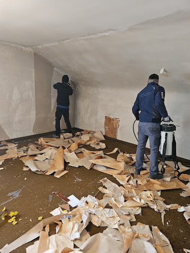 Die Profiausmister Entrümpelungsfirma und Haushaltsauflösungen Entrümpelung aus Köln