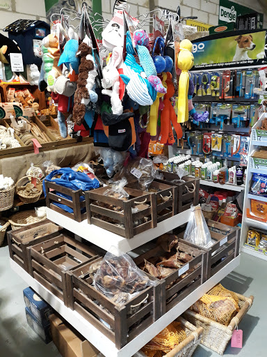 RUNNER DUCK PET & POULTRY SUPPLIES Gallery - United Kingdom
