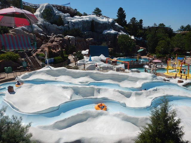 Disney's Blizzard Beach Water Park