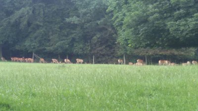 Photos of Wildwald Vosswinkel