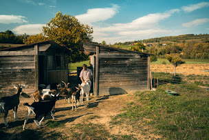 Photo n°29 de Chambres d'hôtes et gîte La Grange du Haut à St Antoine l'Abbaye (Gîte)