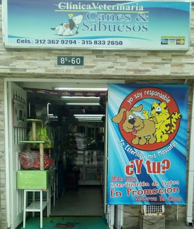 veterinary-care