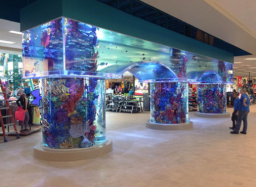 RocknReefs, Inc