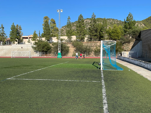 Campo de fútbol municipal de Pliego