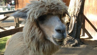 Photos of The Naples Zoo