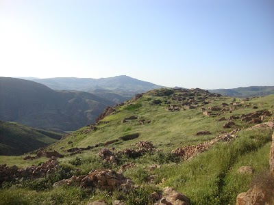 Photos of مدينة القصبة التاريخية