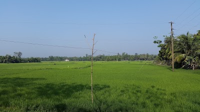 Photos of Khoajpur Paddy irrigation Field (খোয়াজপুর বিল)