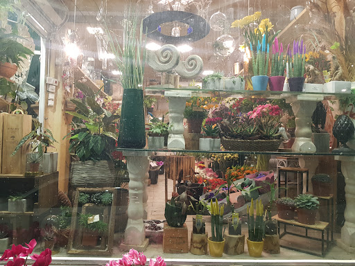Aviv Flowers - Thumbnail