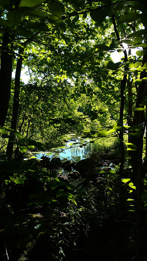 Kittatinny Valley State Park - Mt. Paul South Area Gallery - United States