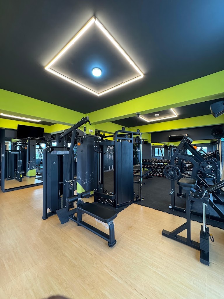 Dream Fitness Lilapor