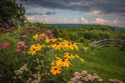 Photos of Sivananda Yoga Ranch