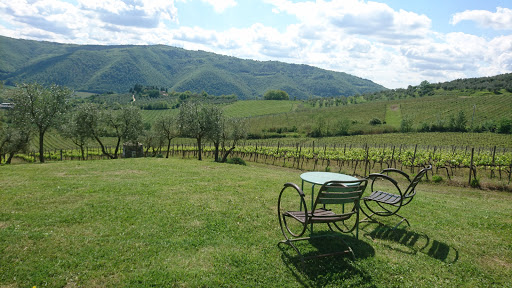 I Veroni - Visual