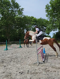 Photo n°4 de Centre Equestre Bretagne Cancale : Les Douets Fleuris à Cancale (Centre équestre)