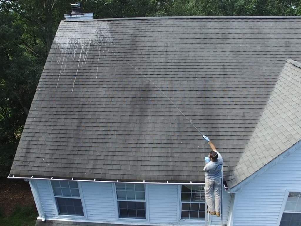 Chesapeake Roof Cleaning