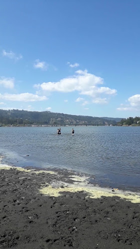 Opiniones de Cabañas Piedra Grande en Pichilemu - Hotel