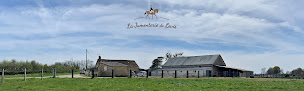 Photo n°4 de LA JUMENTERIE DE LEVIS - centre équestre - pension pour chevaux à Lurcy-Lévis (Centre équestre)