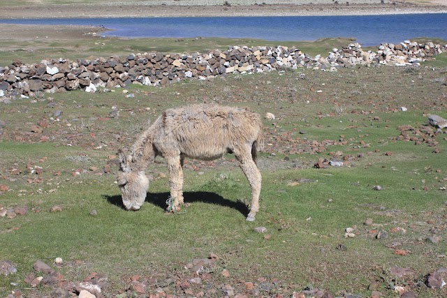 Aguelmame Sidi Ali lake