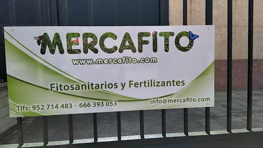 MERCAFITO - Visual