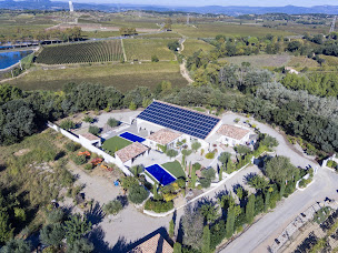 Photo n°55 de Domaine Des Terrières - Villas de prestige, Vignoble, Huilerie à Plaissan (Établissement vinicole)