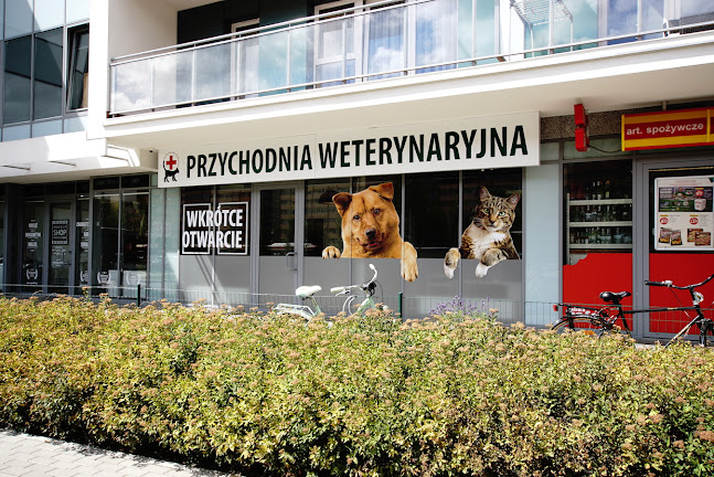 Opinie o Przychodnia Weterynaryjna PRZYMORZE Katarzyna Grodź w Gdańsk - Weterynarz