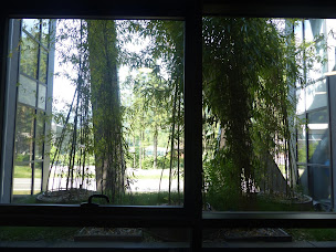 Photo n°3 de Conseil Expertise-comptable Thônes | CERFRANCE DES SAVOIE à Thônes (Conseiller fiscal)