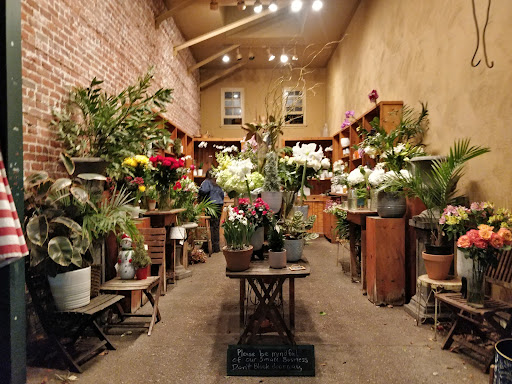 Fiori - Visual