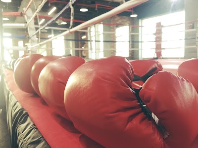 Photos of The Hook Boxing Gym