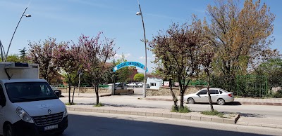 school