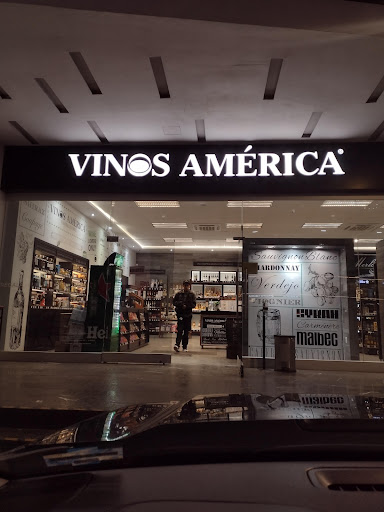 Vinos America San Luis Potosí - Thumbnail