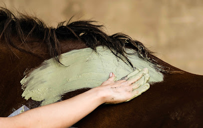 D. Bien-être équin | Masseur - Physiothérapeute équin | FEI Permitted Equine Therapist | Massage équin