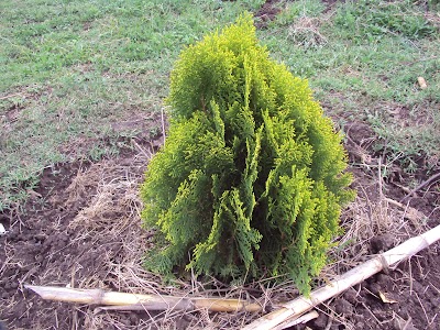 Photos of Pearl of Savannah Nyeri