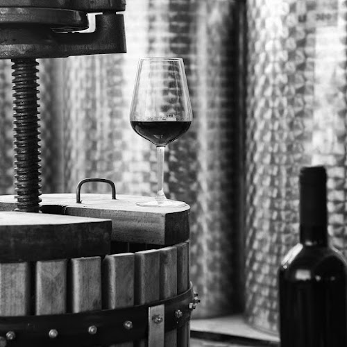 Tzikas' Family Winery - Κασσάνδρα