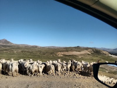 Photos of Posada de las Nieves