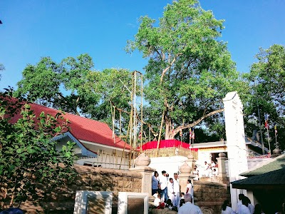 Photos of Sri Maha Bodhi