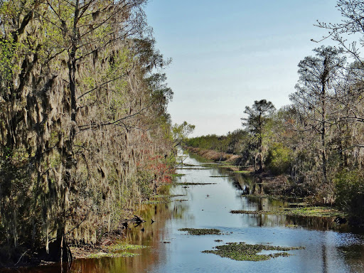 New Orleans Swamp Tours LLC Gallery - United States
