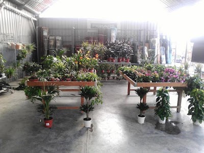 Photos of Viveros Jesus Poza Sociedad Limitada