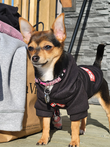 Tuxedo Animal Hospital Gallery - Canada