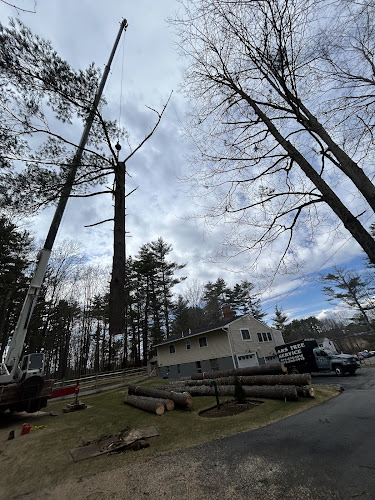 A&S Tree Service LLC
