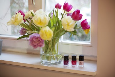 Photos of Nagelstudio Stilnagel Potsdam