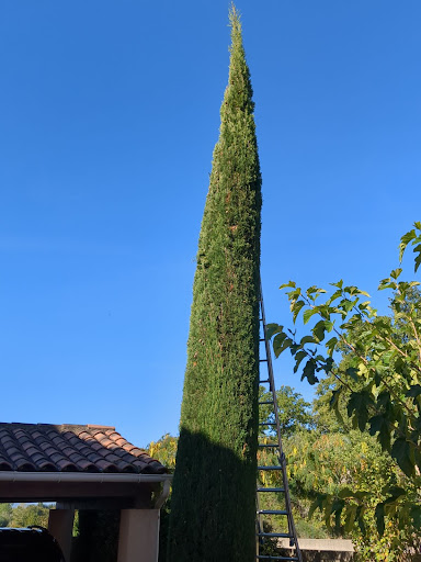Photo de Ermanni Jardins et Piscines à Oppède (84580)