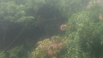 Photos of Mannan Line Park