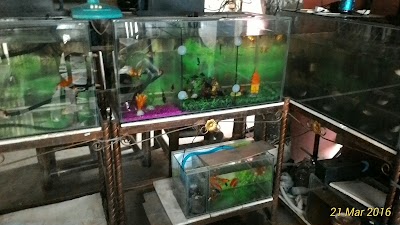 Pet Store