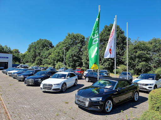 Autohaus Hohenesch Inh. Gerd Röhrs - Thumbnail