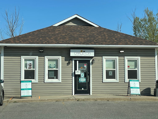 Carleton Veterinary Services - Visual
