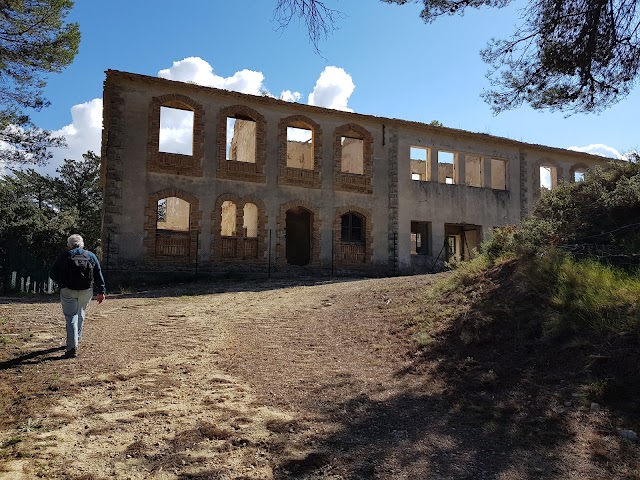 Preventorio Torremanzanas
