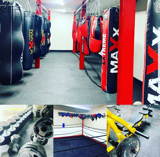 TM Boxing - Visual