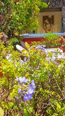 LGY Bed & Breakfast ONLY MEN by null